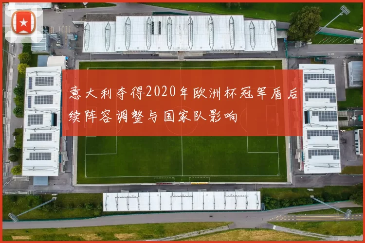 意大利夺得2020年欧洲杯冠军盾后续阵容调整与国家队影响