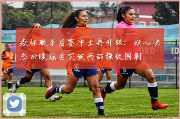 森林狼季后赛冲击再升级：核心状态回暖能否突破西部强敌围剿