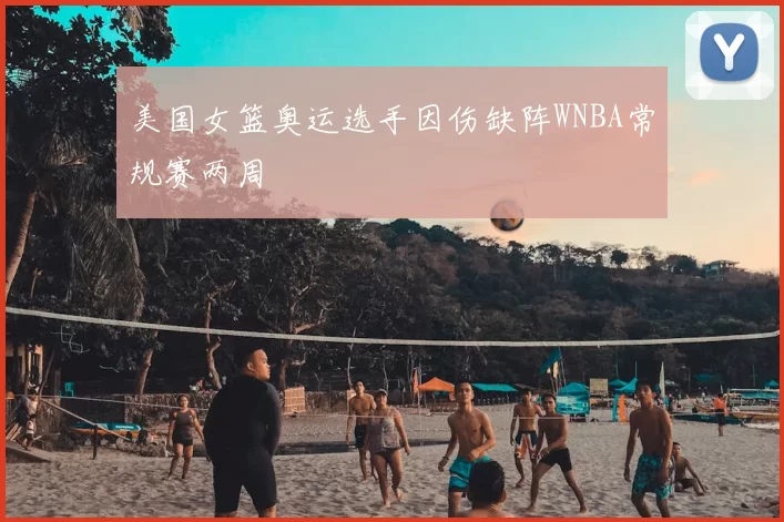 美国女篮奥运选手因伤缺阵WNBA常规赛两周