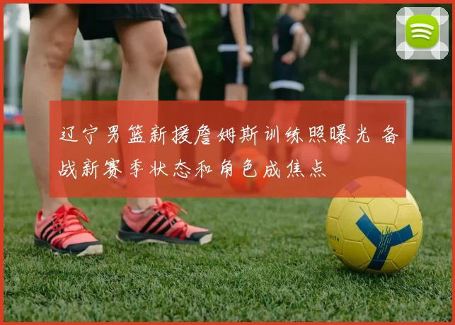 辽宁男篮新援詹姆斯训练照曝光 备战新赛季状态和角色成焦点