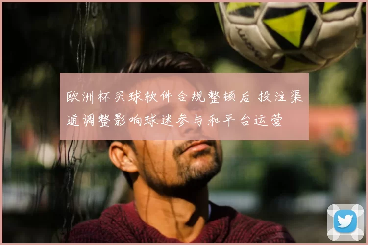 欧洲杯买球软件合规整顿后 投注渠道调整影响球迷参与和平台运营