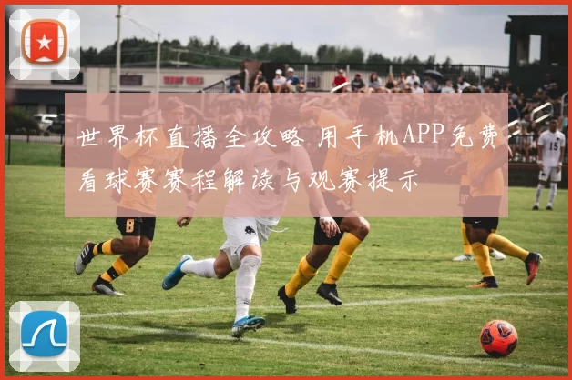 世界杯直播全攻略 用手机APP免费看球赛赛程解读与观赛提示