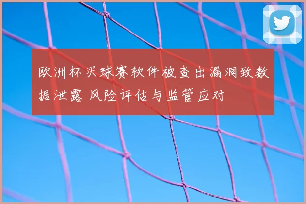 欧洲杯买球赛软件被查出漏洞致数据泄露 风险评估与监管应对