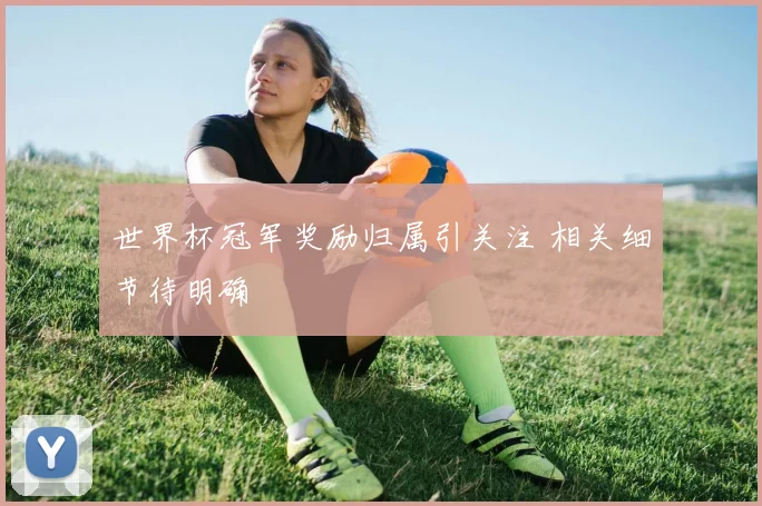 世界杯冠军奖励归属引关注 相关细节待明确