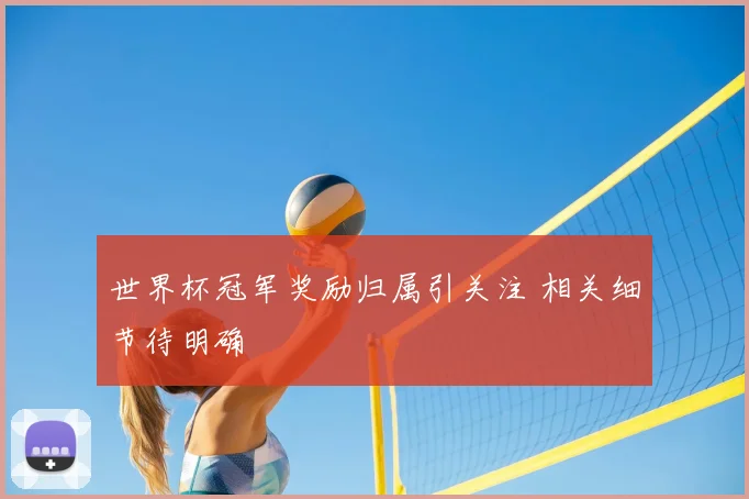 世界杯冠军奖励归属引关注 相关细节待明确