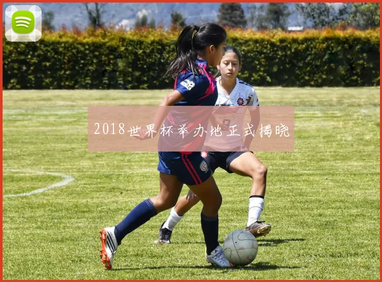 2018世界杯举办地正式揭晓